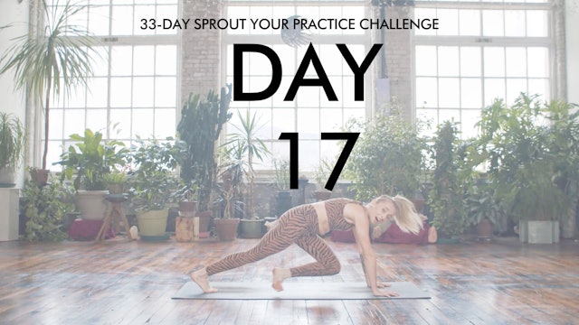 Day 17 Sprout Your Practice: Cardio Sizzle