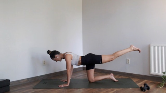 Low Impact: YogaSculpt with Missy Fresques