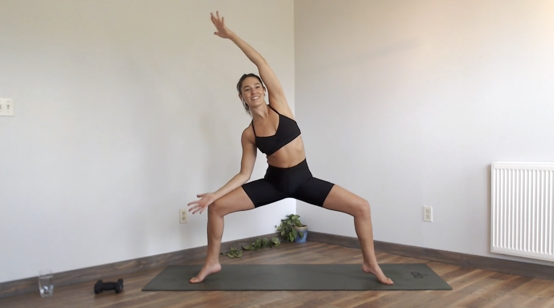 Side Body Strength: YogaSculpt with Missy Fresques
