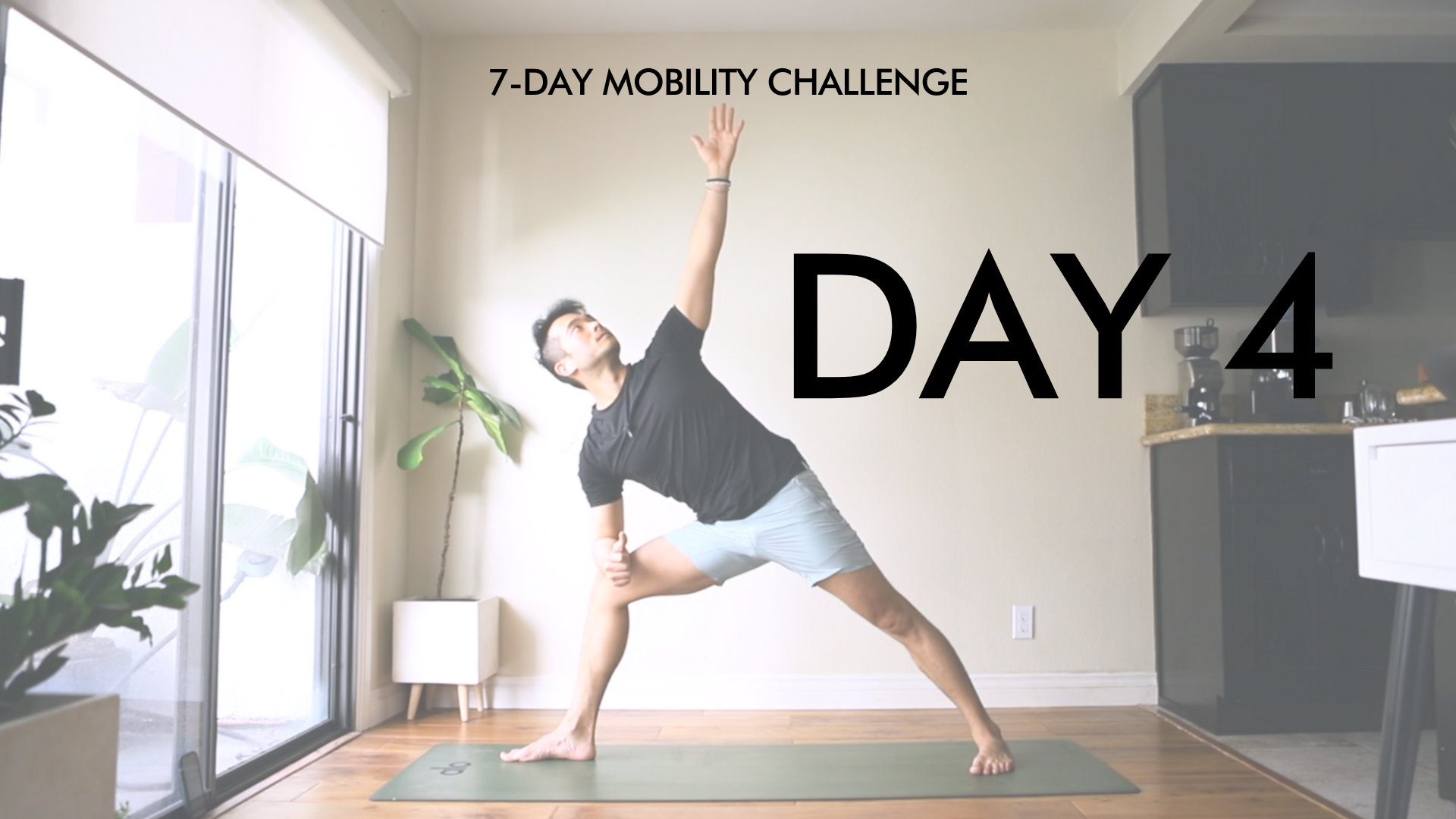 Day 4: Body Smart Yoga