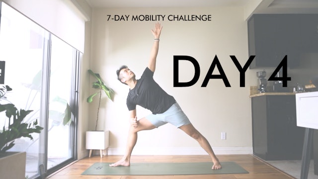 Day 4: Body Smart Yoga