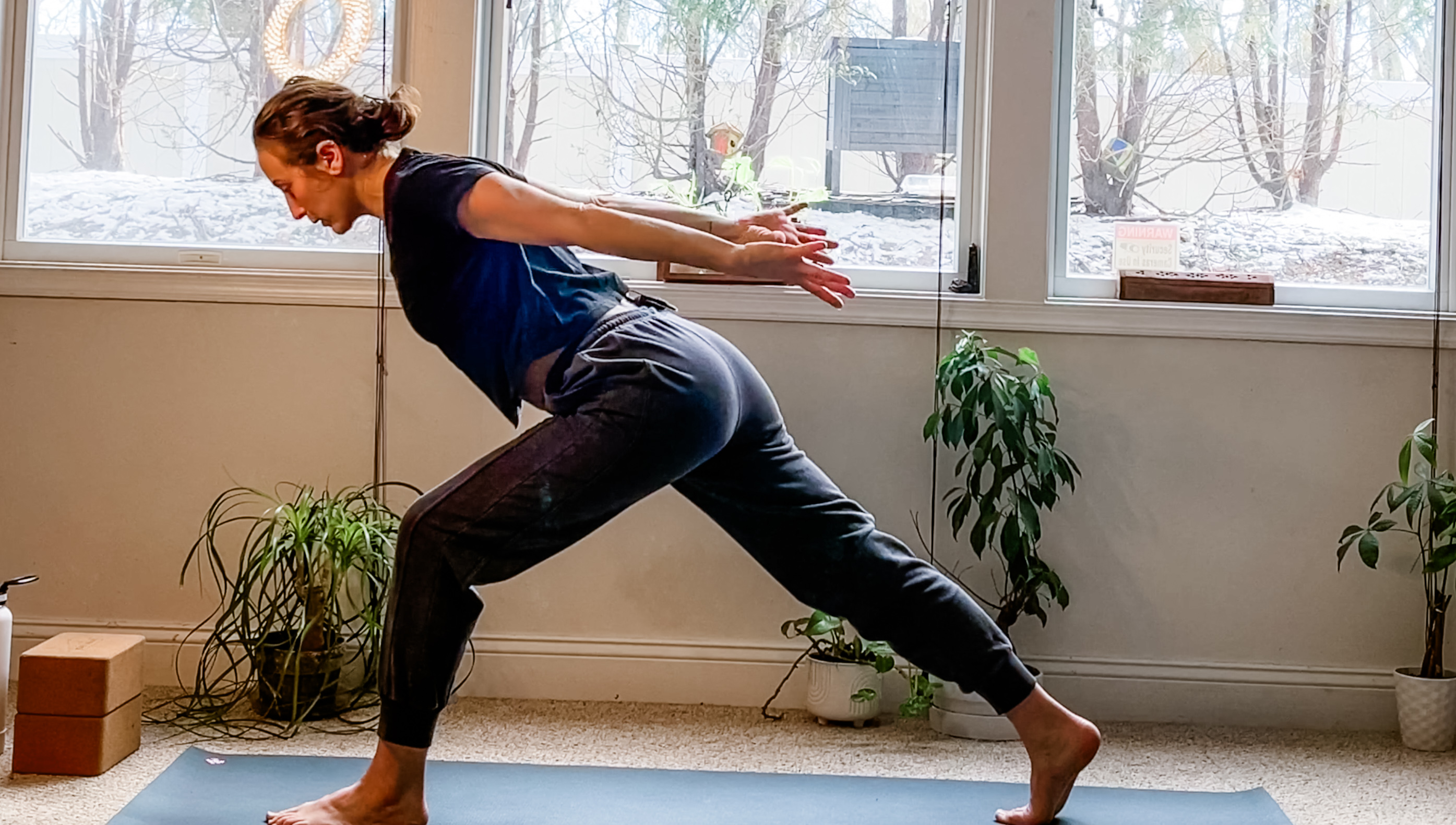 Total Body Power Yoga: Total Body Vinyasa Series with Kim Koa