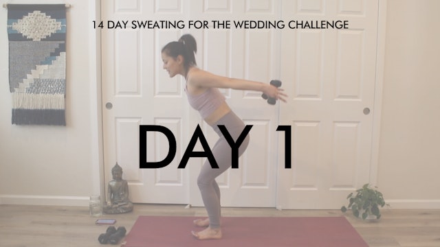 Day 1 Arms: Sweating for the Wedding Challenge with Allison Waldbeser