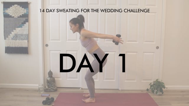 Day 1 Arms: Sweating for the Wedding ...