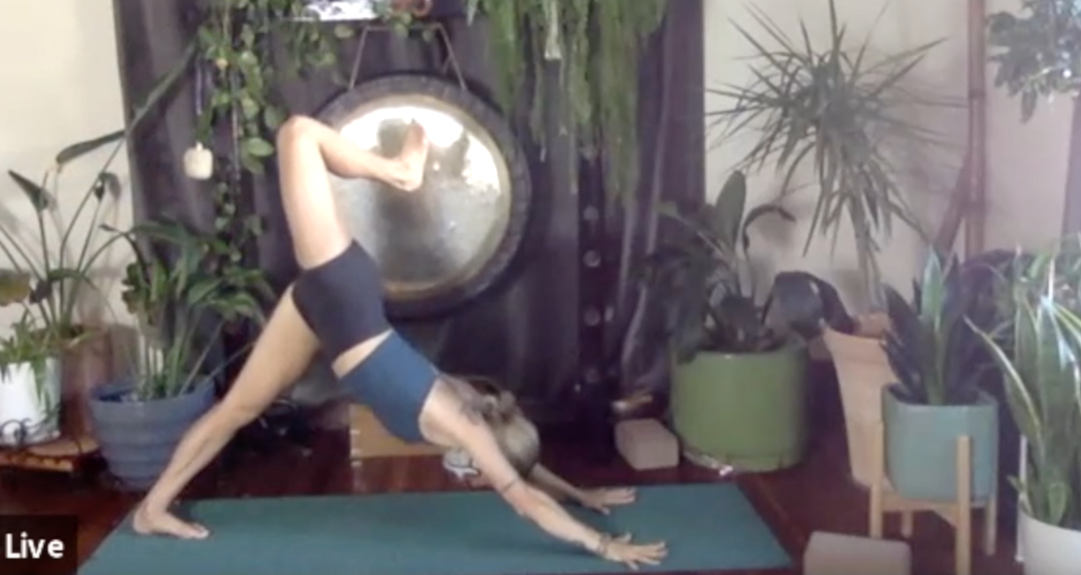 Seed of the Heart: Bhakti Vinyasa with Christine Anderson (LIVE RECORDING)