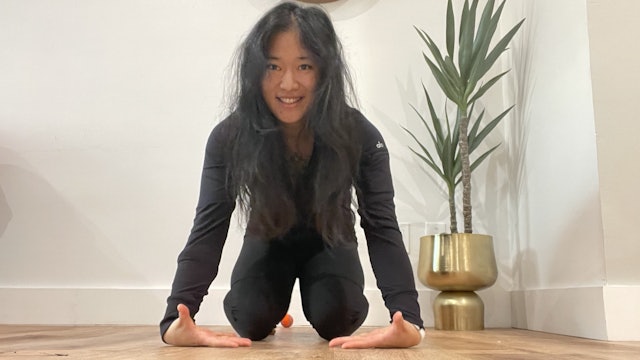 Wrist Mobility for Yoga, Arm Balances, Handstands with Liz Lowenstein