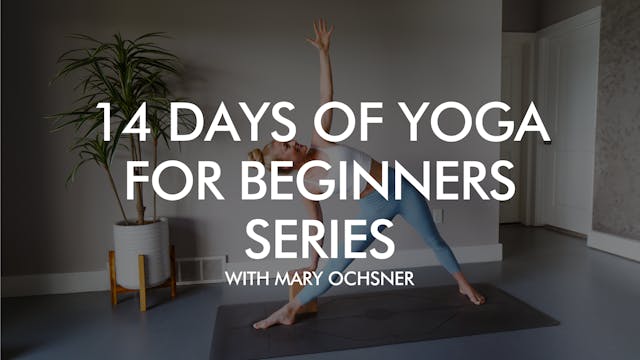 14 Days of Yoga for Beginners Series