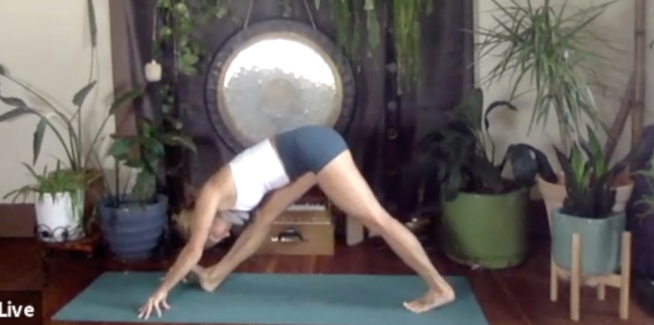 Wisdom of the Heart: Bhakti Vinyasa with Christine Anderson (LIVE RECORDING)