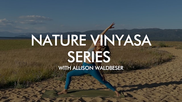 Nature Vinyasa Series with Allison Waldbeser