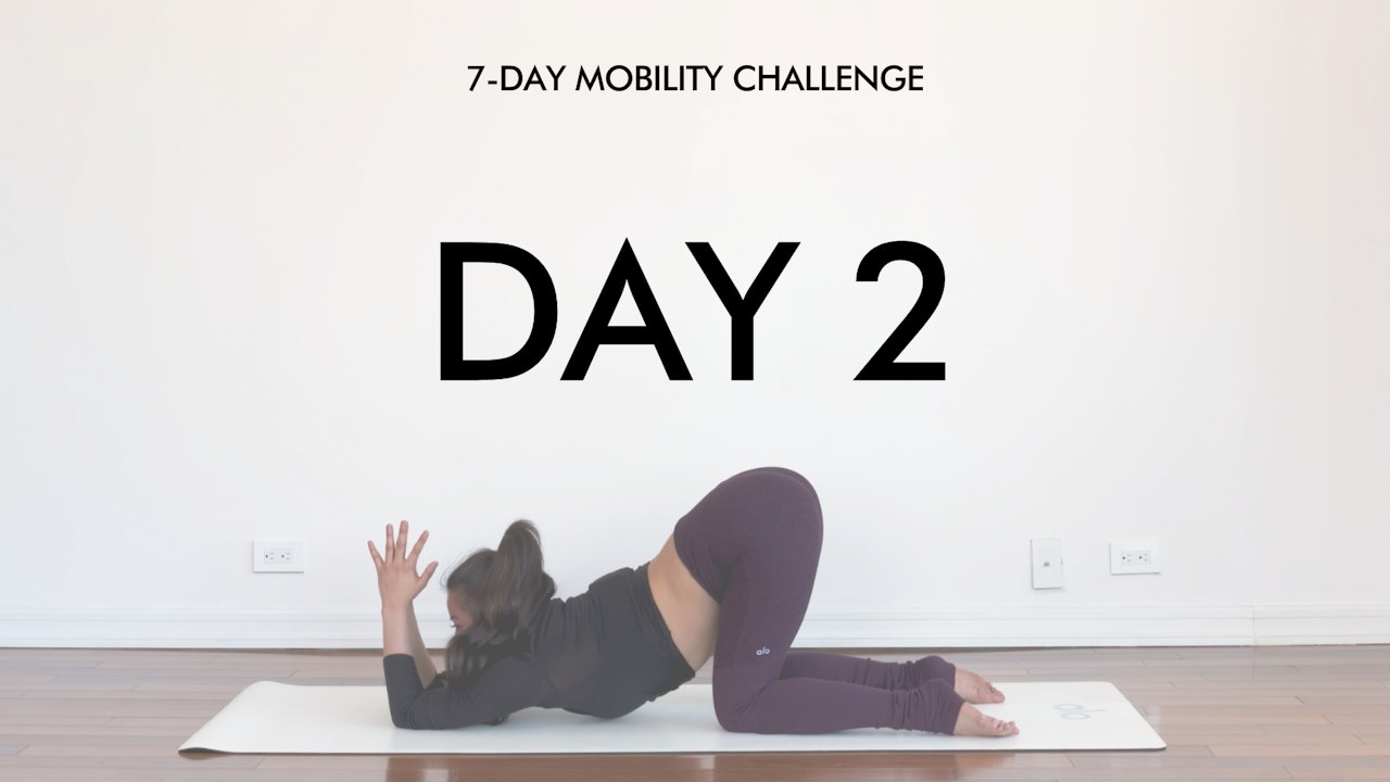Day 2: Shoulder and Upper Body Mobility