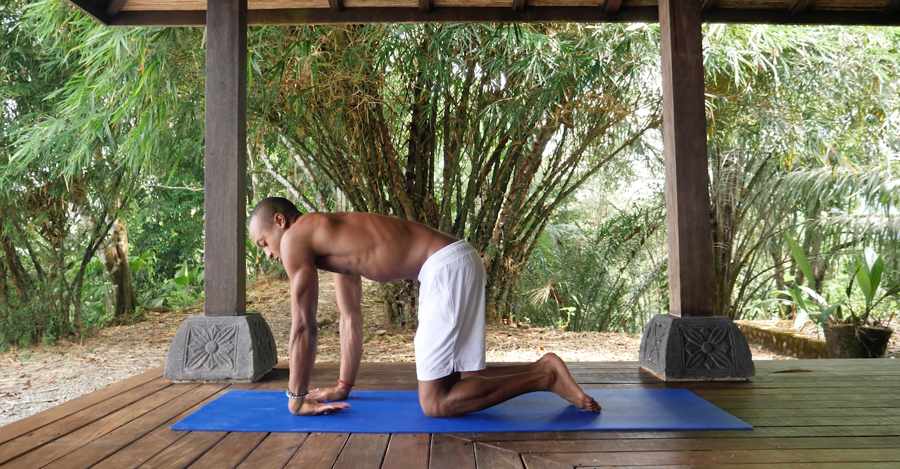 Wrist Activation with Andrew Sealy