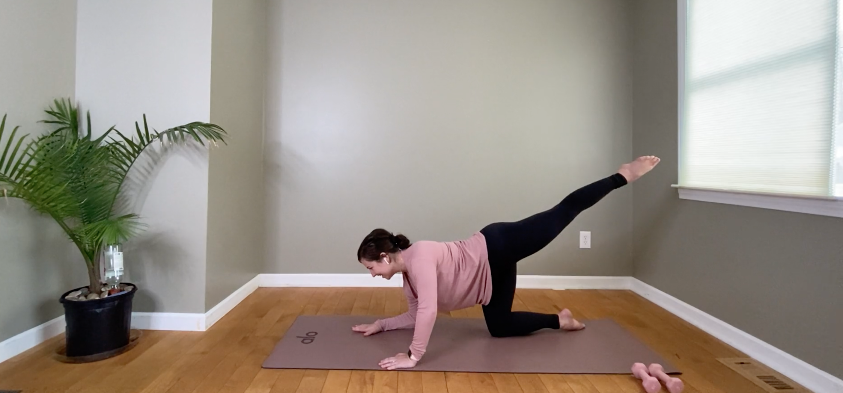 Full Body "Barre-Less" Barre Flow with Danielle Havens