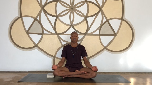 Present Moment Meditation with Andrew Sealy