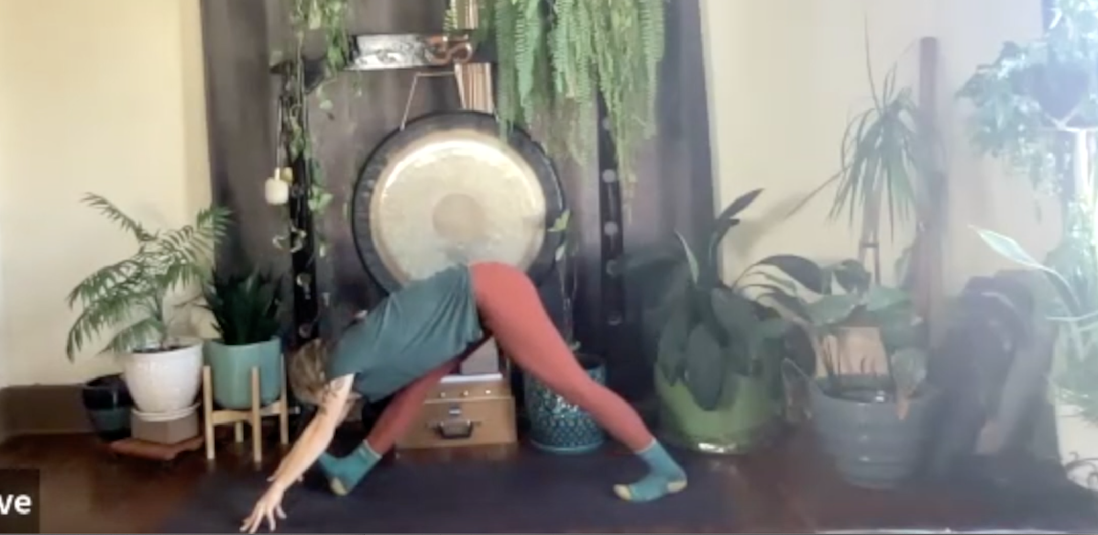 Connection: Bhakti Vinyasa with Christine Anderson (LIVE RECORDING)