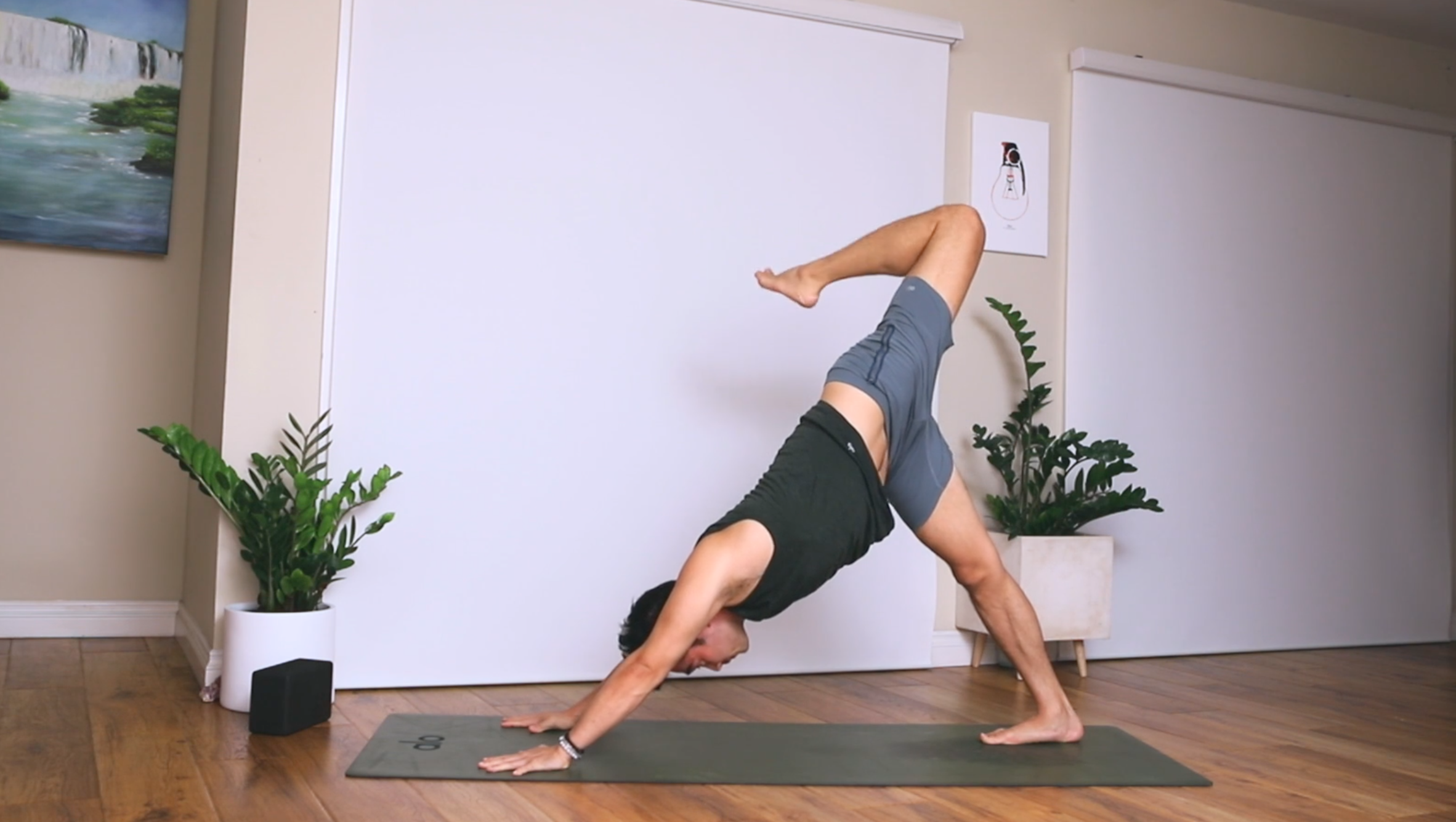 Strengthen and Energize Flow: Vinyasa with Hiro Landazuri