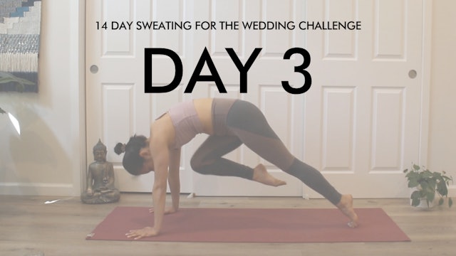 Day 3 Core: Sweating for the Wedding Challenge with Allison Waldbeser