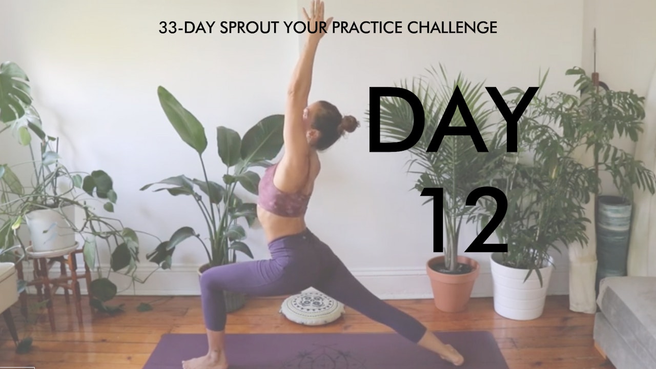 Day 12 Sprout Your Practice: Ashtanga Yoga for Complete Beginners