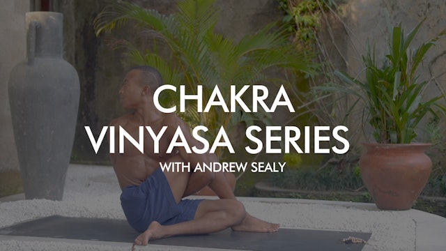 Chakra Vinyasa Series with Andrew Sealy