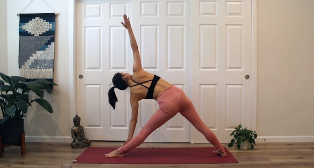 Stretch and Flow: Vinyasa with Allison Waldbeser