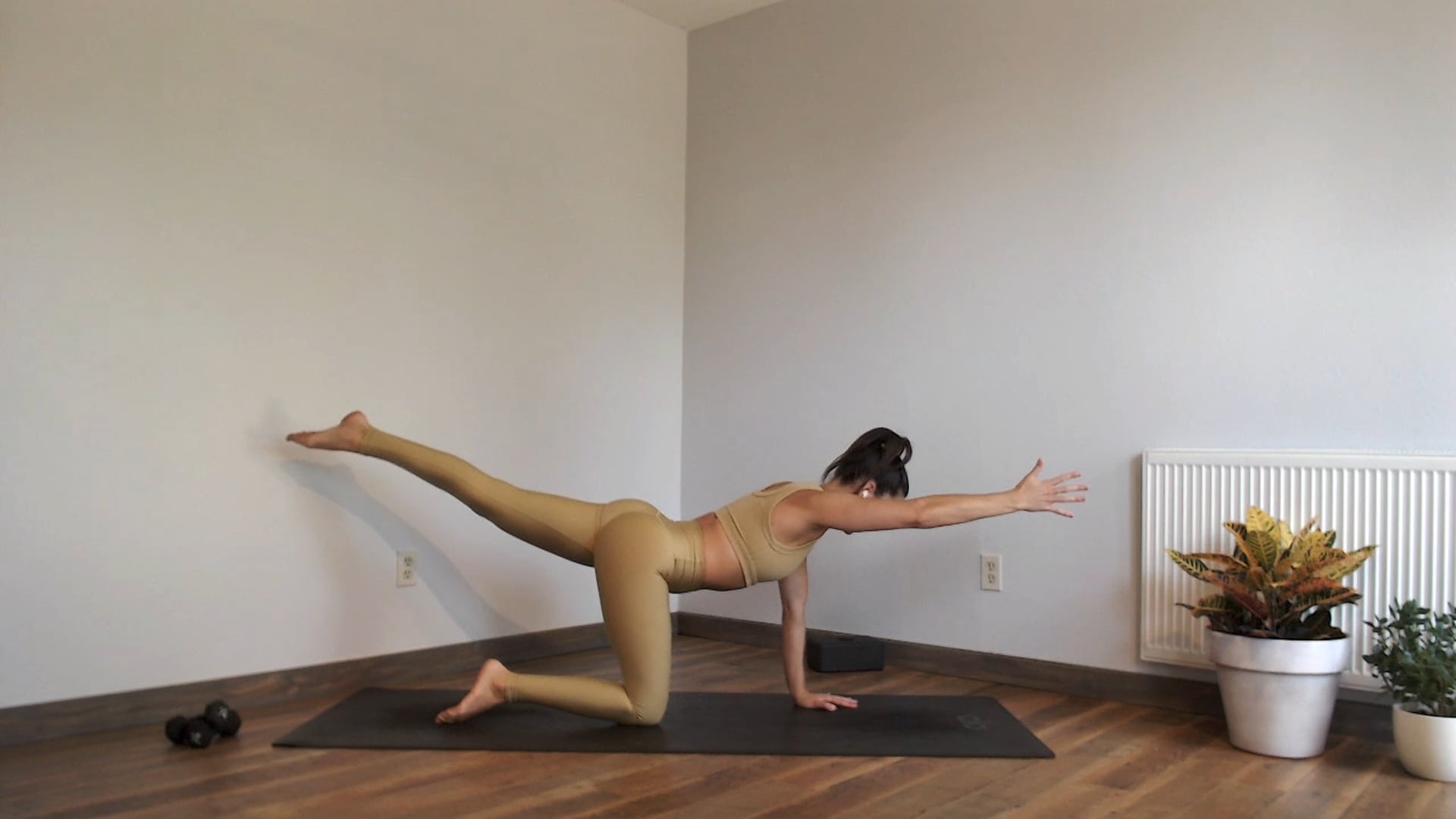 Full Body Tone: YogaSculpt with Missy Fresques