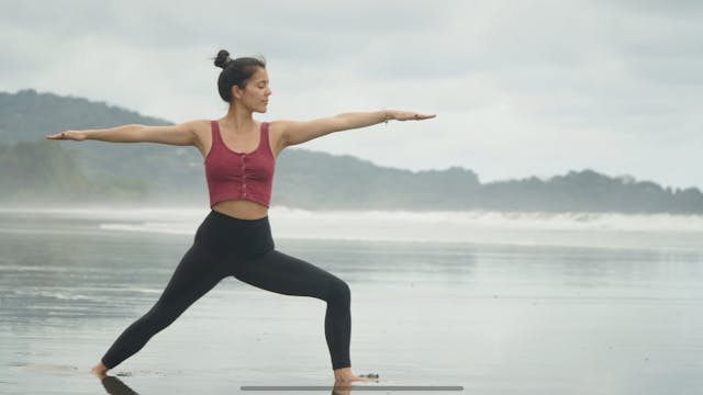 Core Flow: Vinyasa with Allison Waldb...