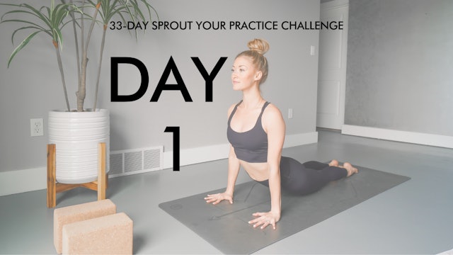 Day 1 Sprout Your Practice: Beginner Slow Flow