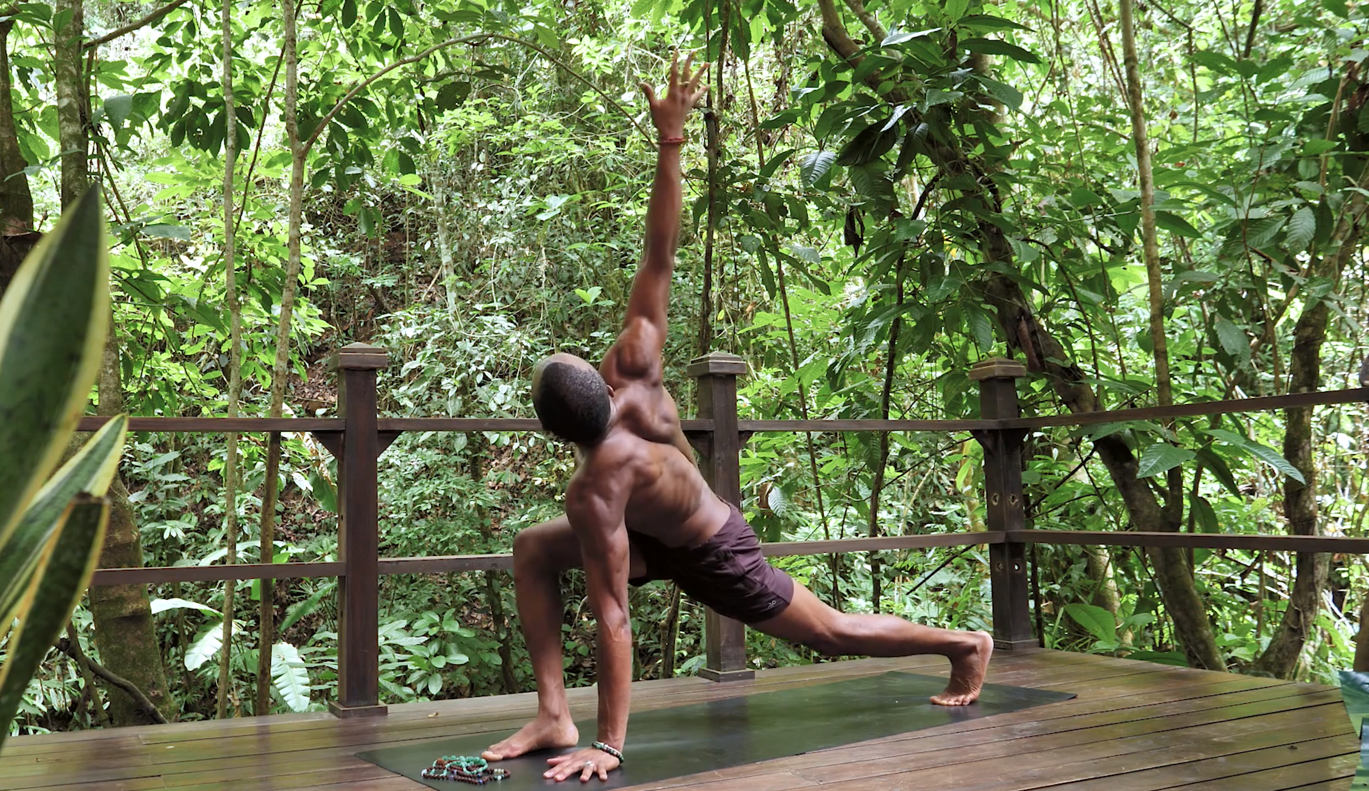 Week Day Warm Up with Andrew Sealy