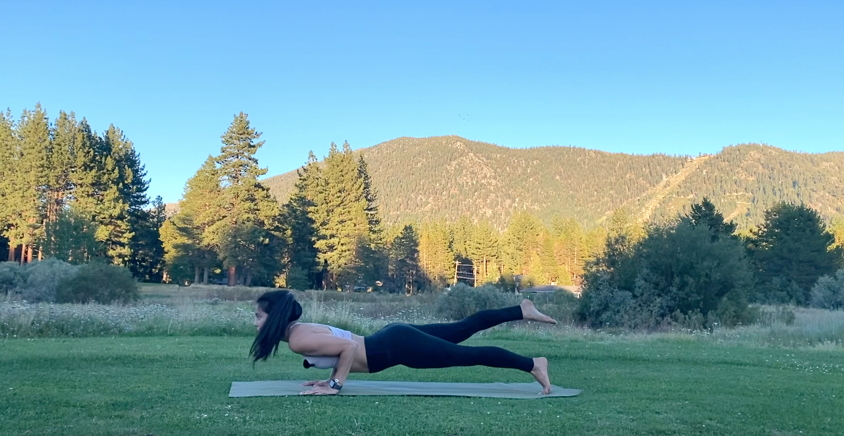 Crow to Chaturanga: Nature Vinyasa Series with Allison Waldbeser