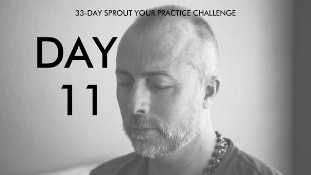 Day 11 Sprout Your Practice: Enter Your Flow State