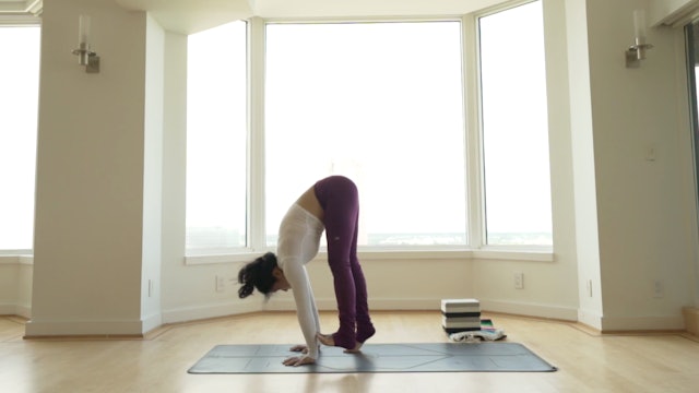 Learn to Float: Advance Your Yoga Practice with Max and Liz Lowenstein