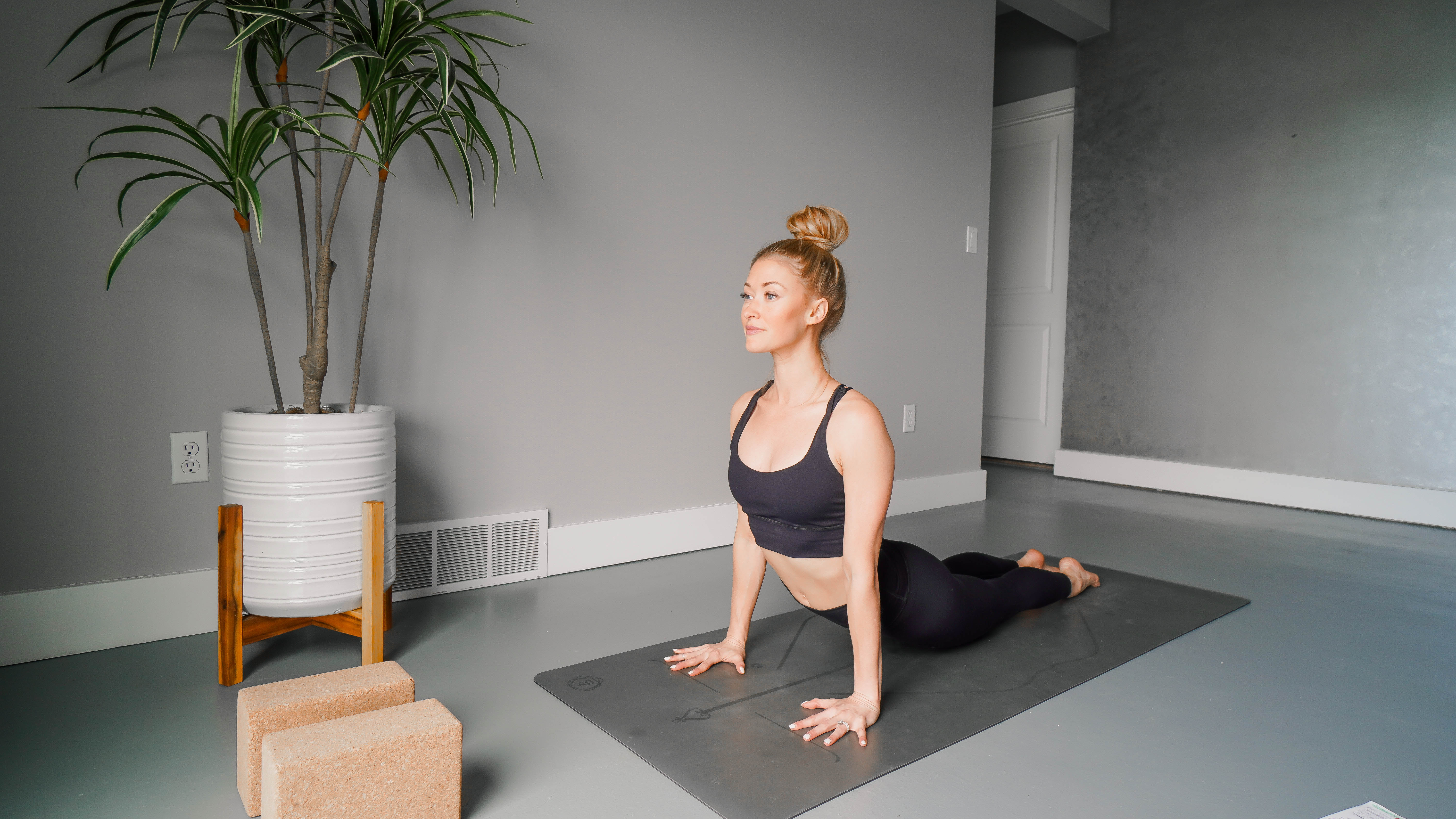 Beginner Slow Flow with Mary Ochsner