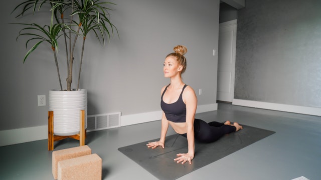 Beginner Slow Flow with Mary Ochsner