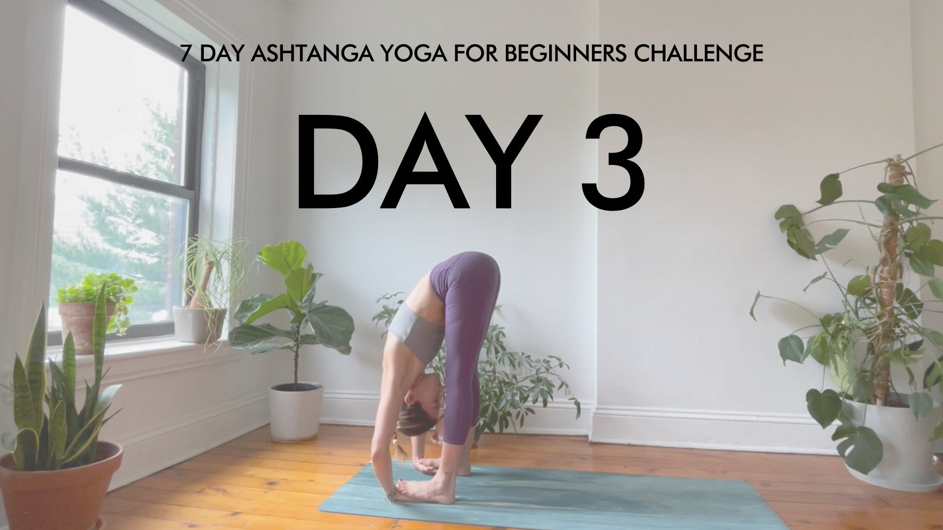 Day 3 Padangustasana: Ashtanga Challenge with Maria Margolies