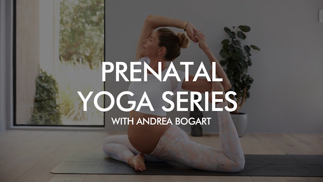 Pre-Natal Yoga Series with Andrea Bogart