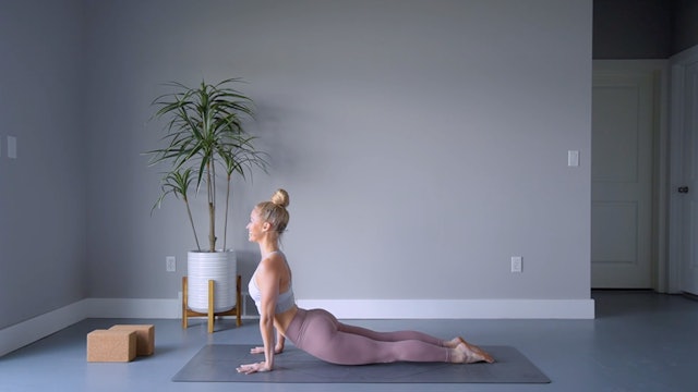Sun Salutation A: 14 Days of Yoga for Beginners with Mary Ochsner