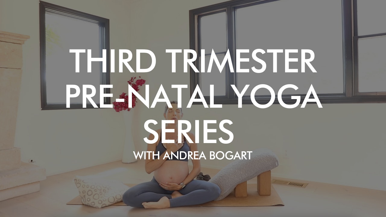 Third Trimester Pre-Natal Yoga Series with Andrea Bogart