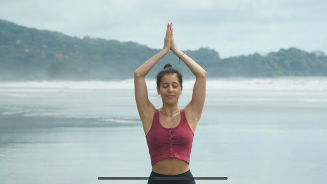 Rise and Energize Flow: Vinyasa with Allison Waldbeser (LIVE)