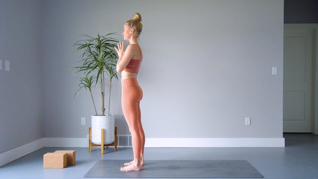 Alignment Basics: 14 Days of Yoga for Beginners with Mary Ochsner