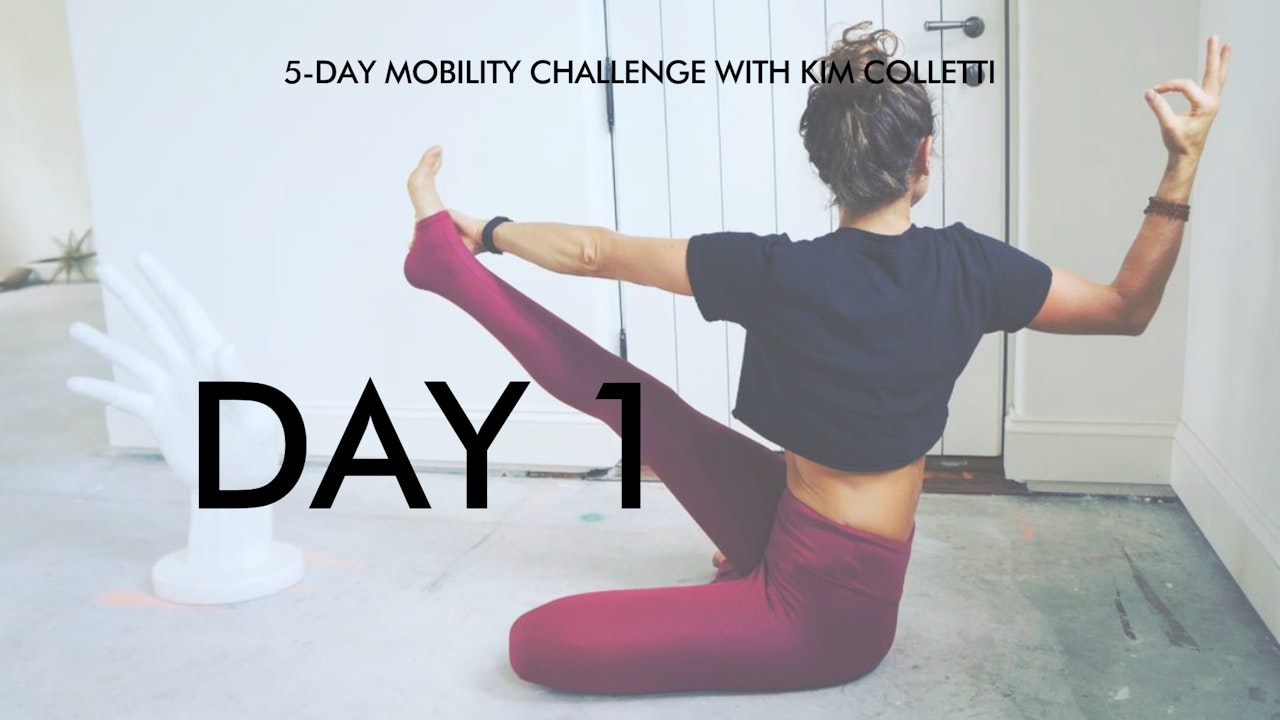 Day 1 Mobility Challenge