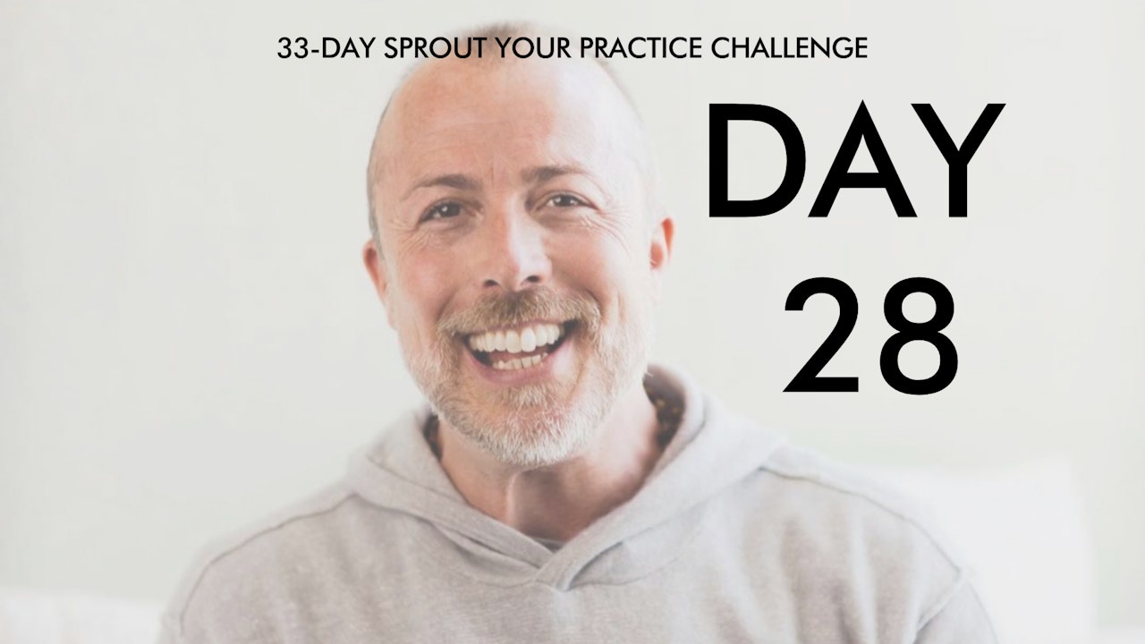 Day 28 Sprout Your Practice: Meditation 101