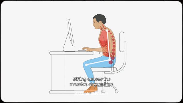 Hips, Glutes & Knee Strength | Preview