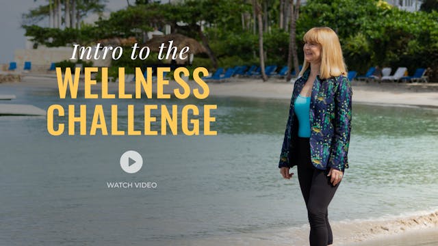 Intro to the Wellness Challenge