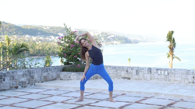 Shoulder, Posture & Spine with Sahra ...