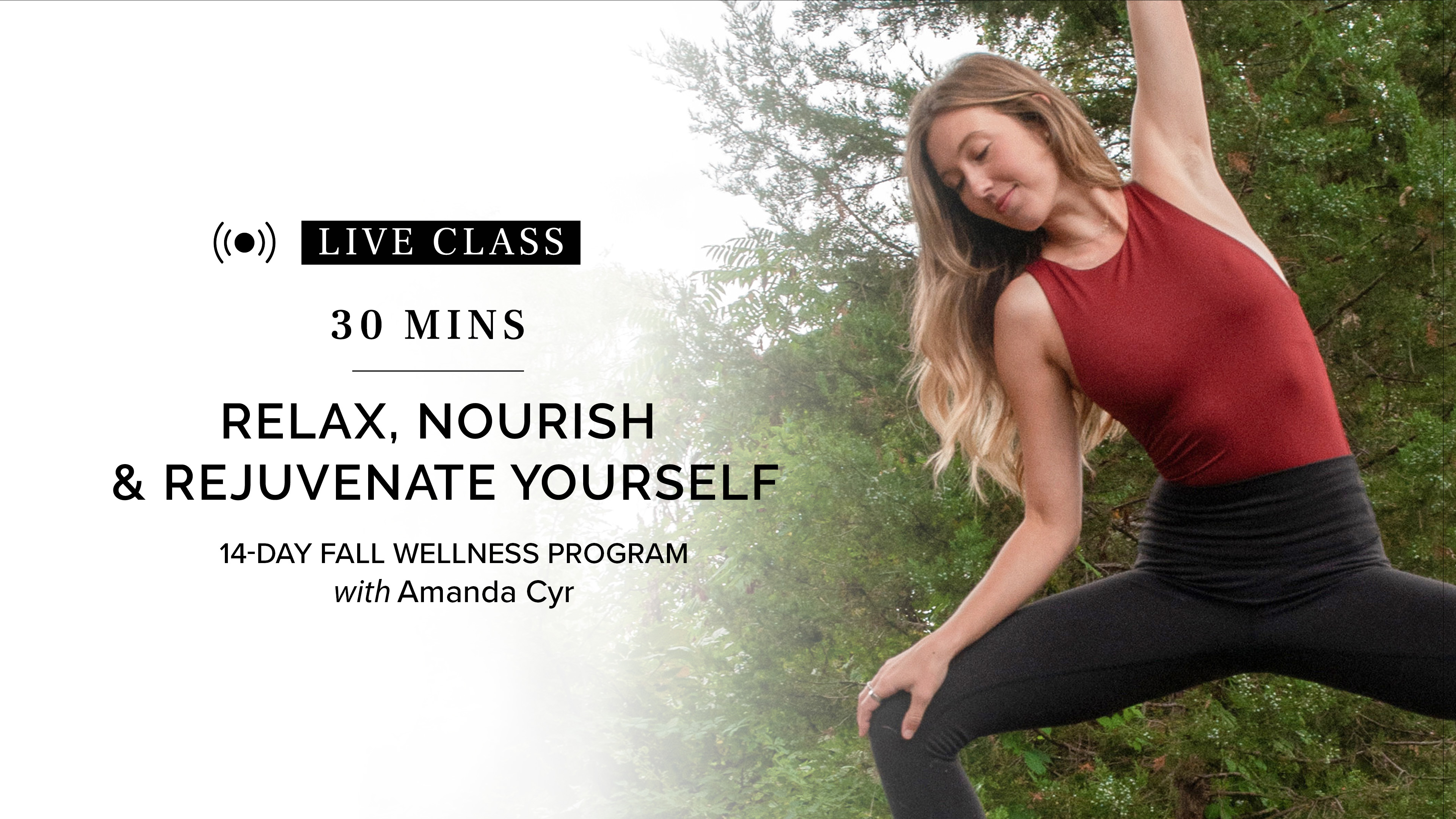 Stability & Balance | Fall Wellness Program