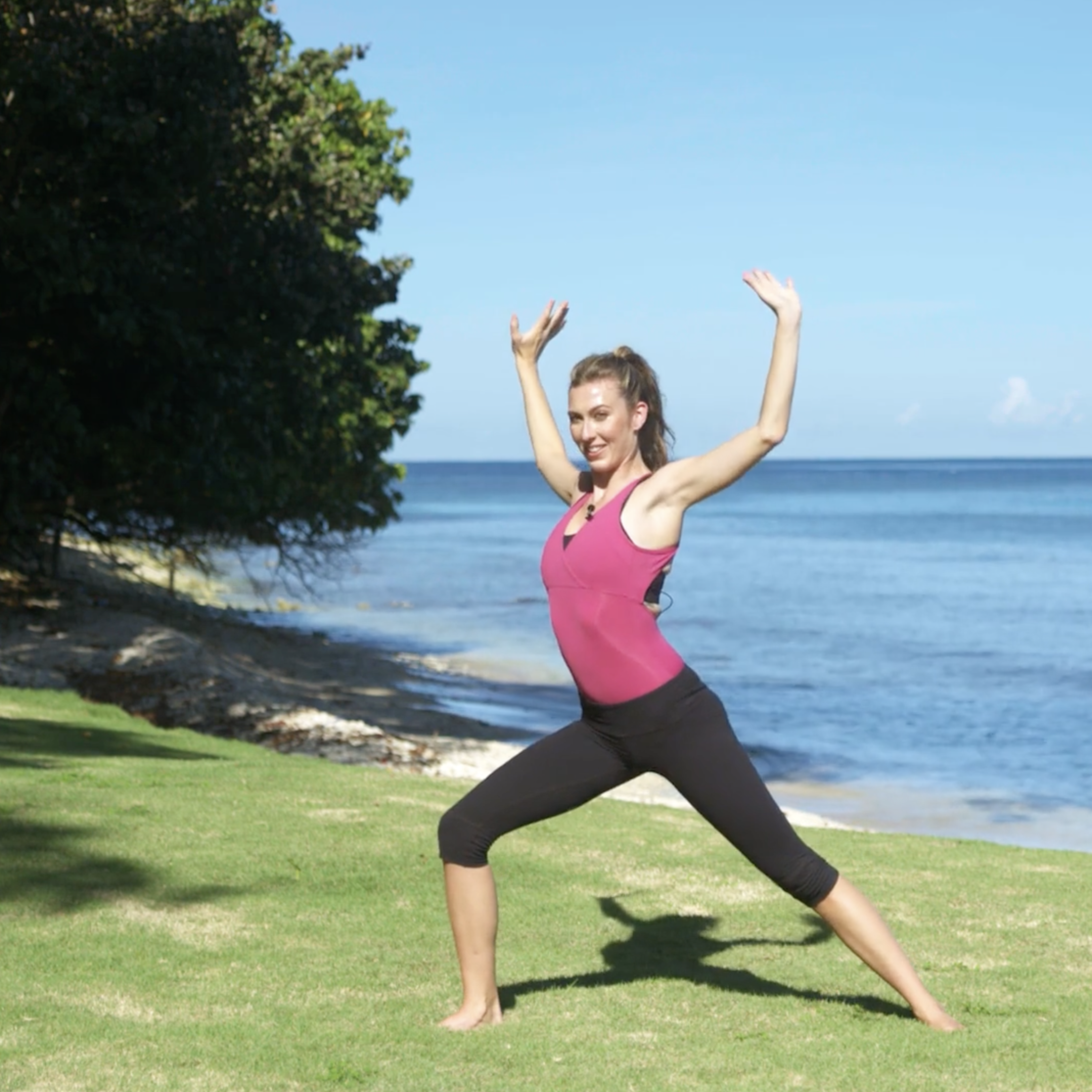 Waist & Arm Lengthening with Amanda Cyr