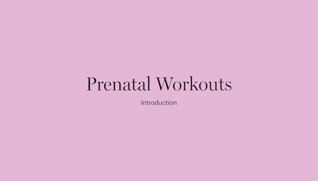 Introduction | Prenatal Workouts