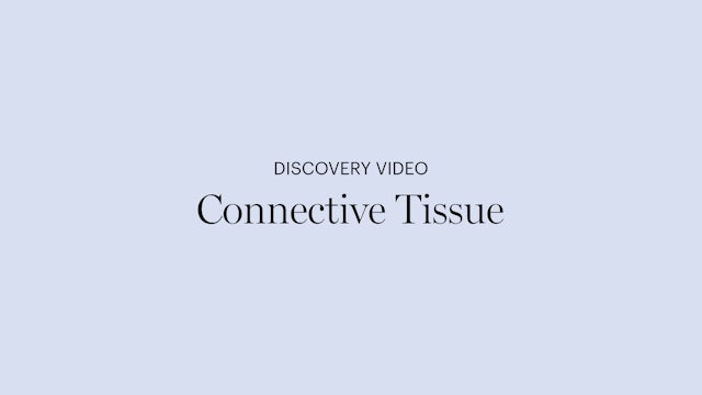 Discovery Video | Connective Tissue