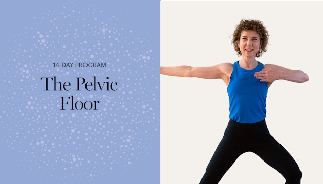 The Pelvic Floor Wellness Program