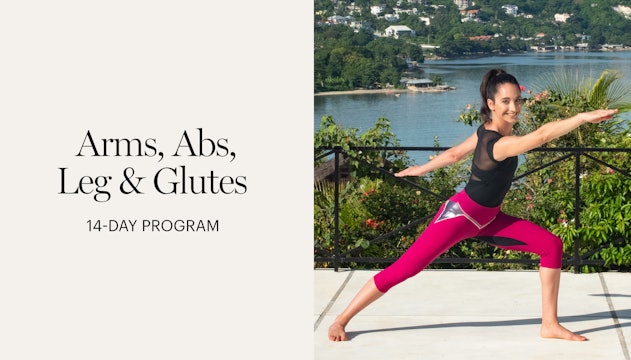 Arms, Abs, Legs & Glutes Program