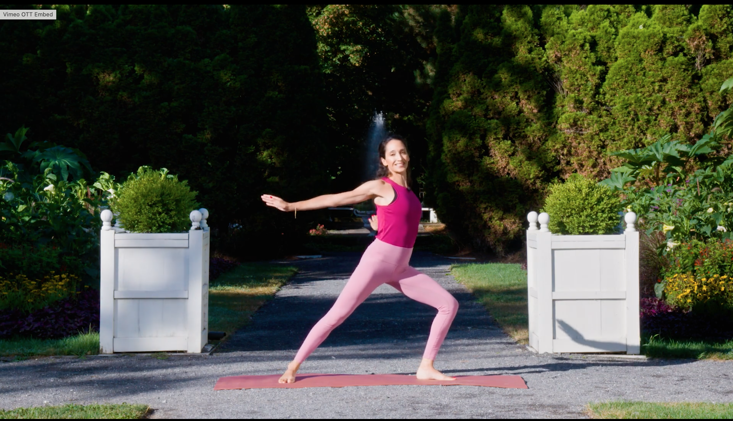 Posture Reset & Tone with Alexa Leon